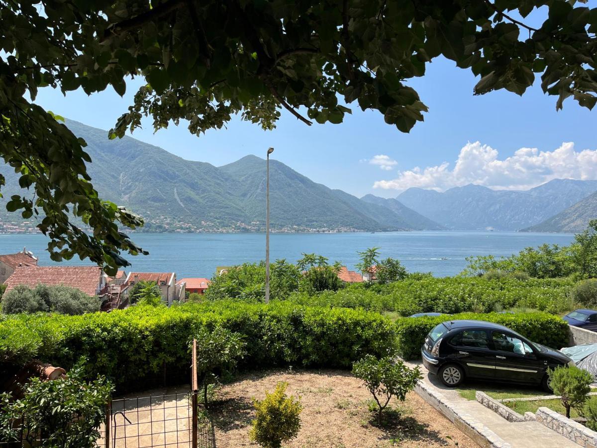 Legatum I - Bay Sight Daire Kotor Dış mekan fotoğraf